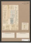 Frustulia rhomboides var. saxonica (Rab.) (de-Toni-Nr.: Genus 19, Species 1159) Zeichnungen Sammlung Grunow Nr. 2263 (NHMW-BOT-W0369372)